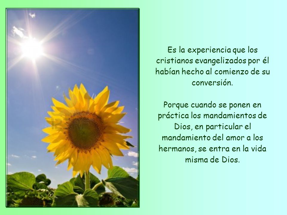 Es la experiencia que los cristianos evangelizados por él habían hecho al comienzo de su conversión.