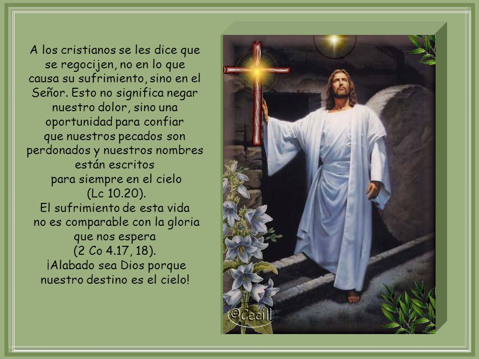 A los cristianos se les dice que se regocijen, no en lo que