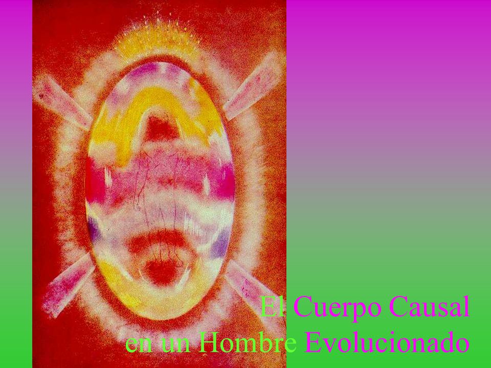 El Cuerpo Causal en un Hombre Evolucionado
