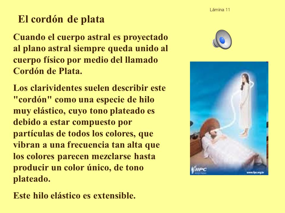 Lámina 11 El cordón de plata.