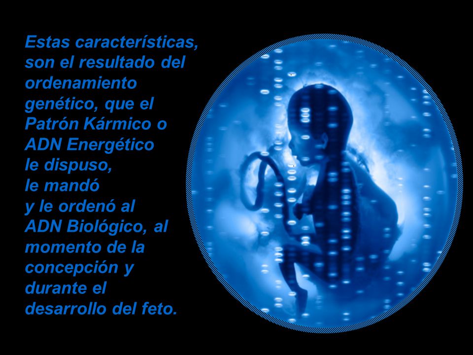 Estas características, son el resultado del ordenamiento genético, que el Patrón Kármico o ADN Energético le dispuso, le mandó y le ordenó al ADN Biológico, al momento de la concepción y durante el desarrollo del feto.