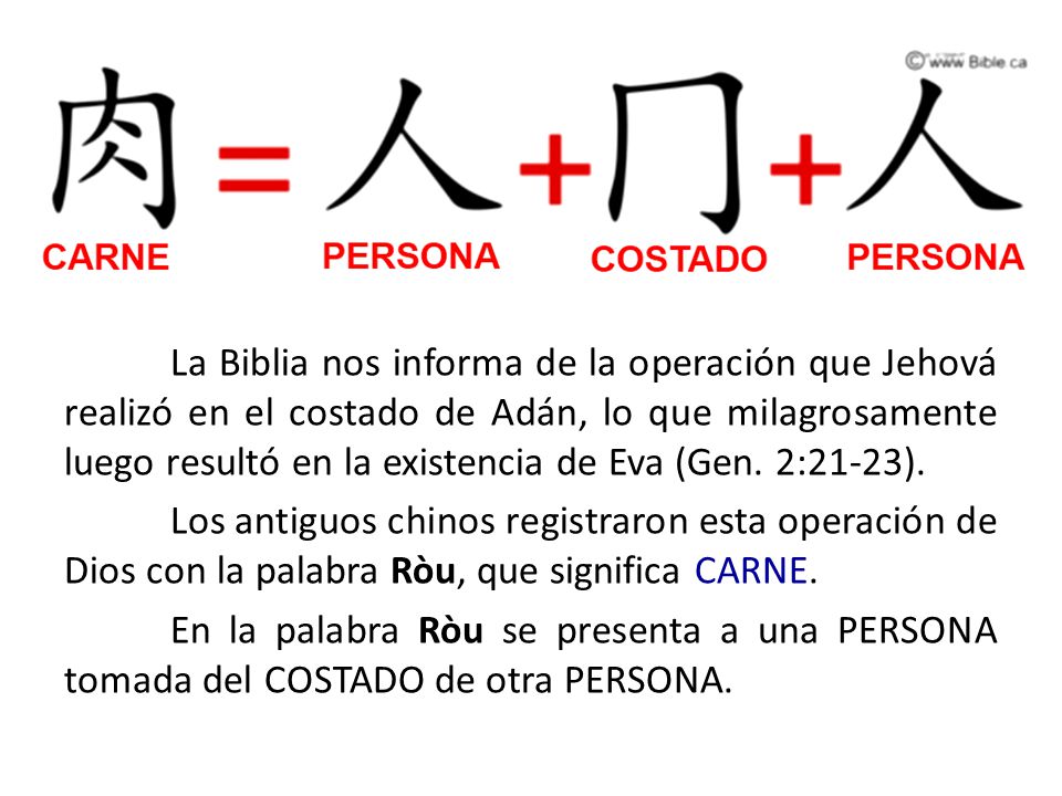La Biblia nos informa de la operación que Jehová realizó en el costado de Adán, lo que milagrosamente luego resultó en la existencia de Eva (Gen.
