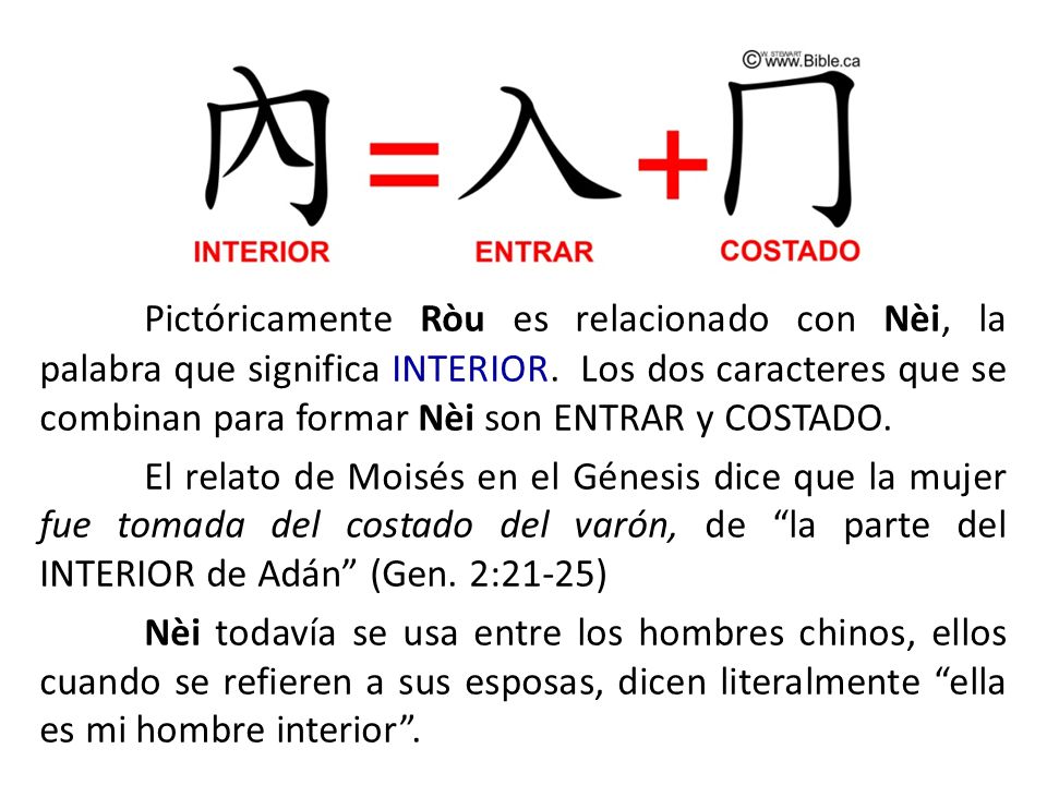 Pictóricamente Ròu es relacionado con Nèi, la palabra que significa INTERIOR. Los dos caracteres que se combinan para formar Nèi son ENTRAR y COSTADO.