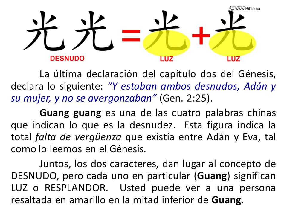La última declaración del capítulo dos del Génesis, declara lo siguiente: Y estaban ambos desnudos, Adán y su mujer, y no se avergonzaban (Gen.