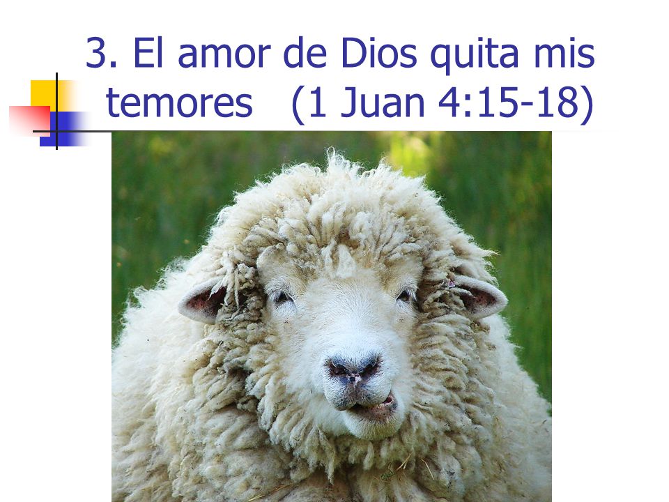 3. El amor de Dios quita mis temores (1 Juan 4:15-18)