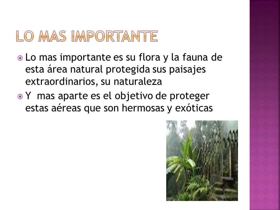 Lo mas importante Lo mas importante es su flora y la fauna de esta área natural protegida sus paisajes extraordinarios, su naturaleza.
