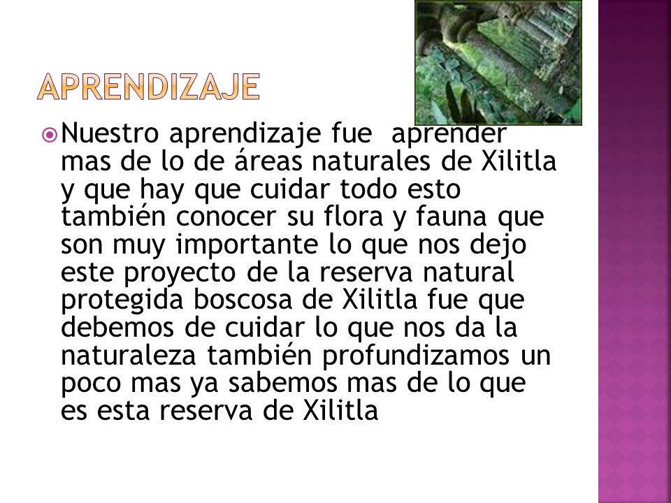 aprendizaje