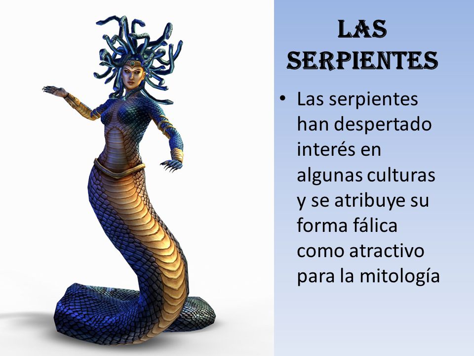 Las serpientes Las serpientes han despertado interés en algunas culturas y se atribuye su forma fálica como atractivo para la mitología.