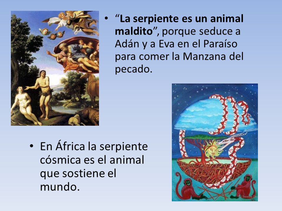 En África la serpiente cósmica es el animal que sostiene el mundo.