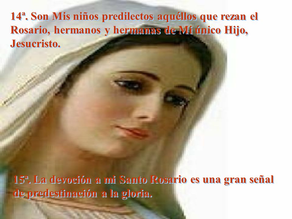 14ª. Son Mis niños predilectos aquéllos que rezan el Rosario, hermanos y hermanas de Mi único Hijo, Jesucristo.