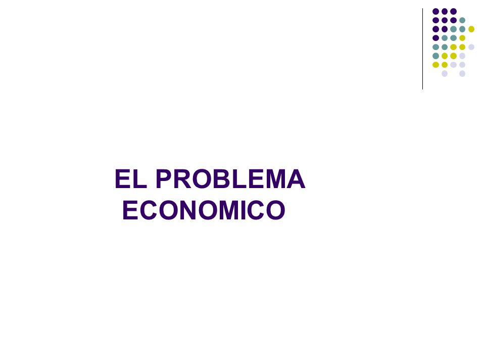 EL PROBLEMA ECONOMICO