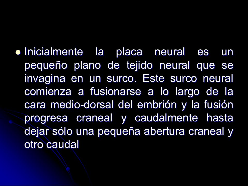 Inicialmente la placa neural es un pequeño plano de tejido neural que se invagina en un surco.