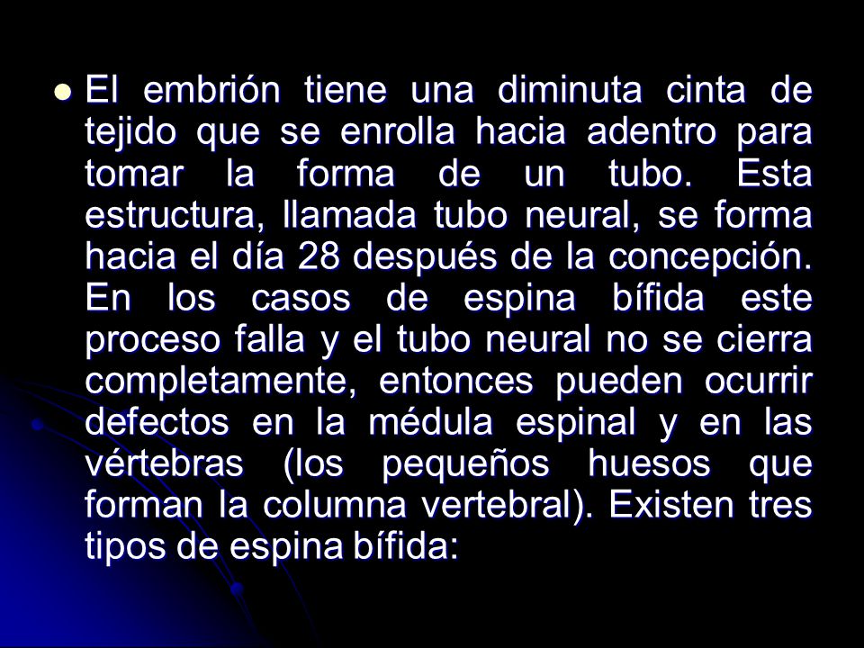 El embrión tiene una diminuta cinta de tejido que se enrolla hacia adentro para tomar la forma de un tubo.