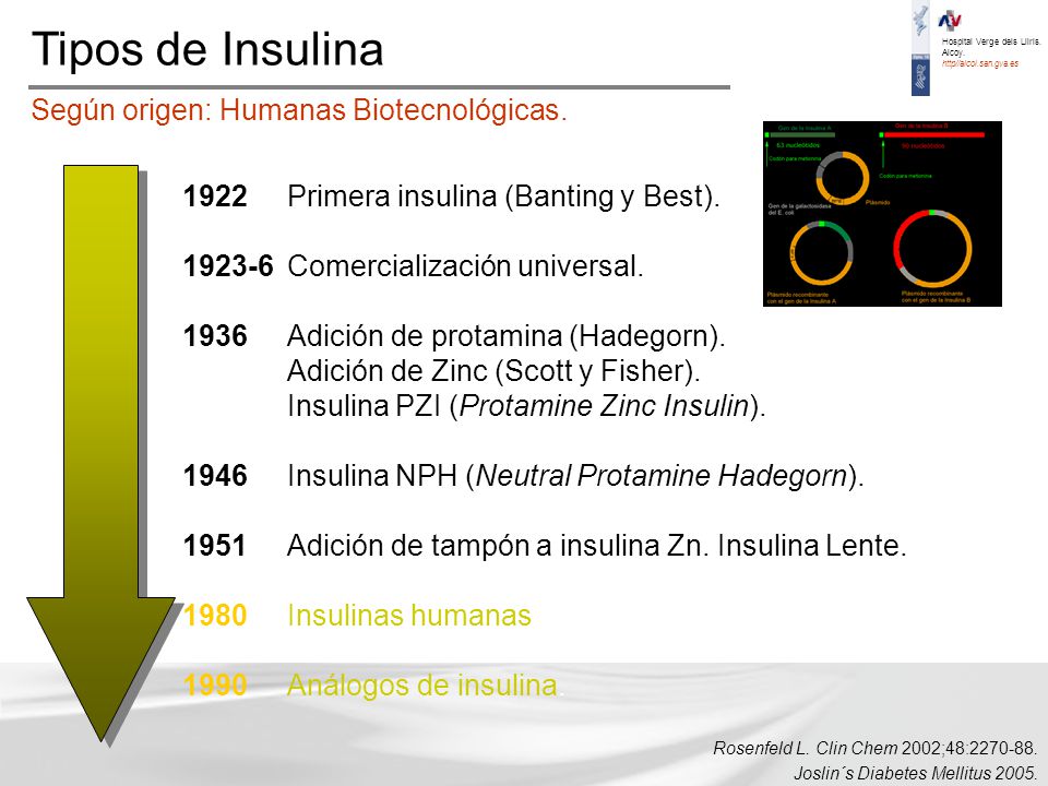 Tipos de Insulina Según origen: Humanas Biotecnológicas.