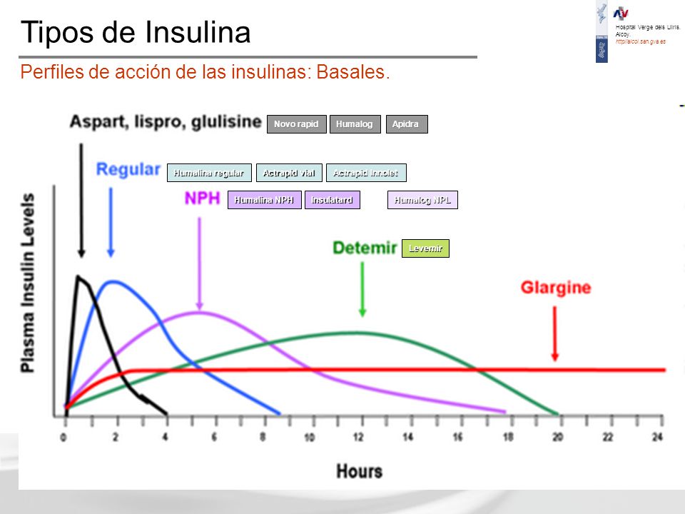 Tipos de Insulina Perfiles de acción de las insulinas: Basales.