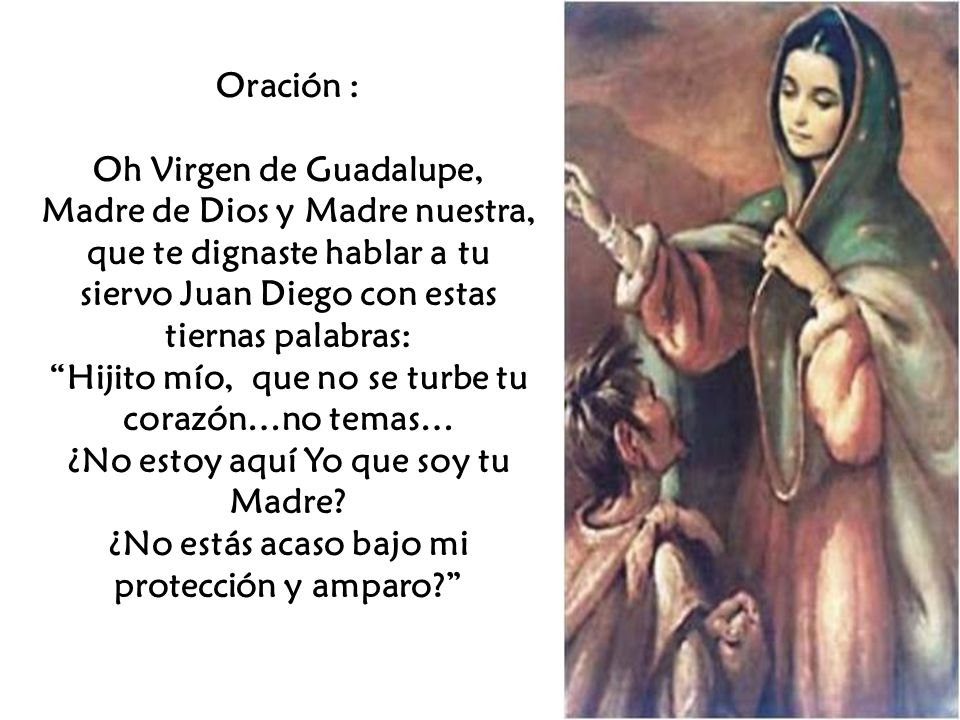 A La Santisima Virgen De Guadalupe Ppt Video Online Descargar La virgen del tepeyac, ante la sensibilidad del pueblo indígena, nos deja entrever el sentido maternal con el que nos mira, acompaña y orienta en medio de los desafíos del camino, de. virgen de guadalupe ppt
