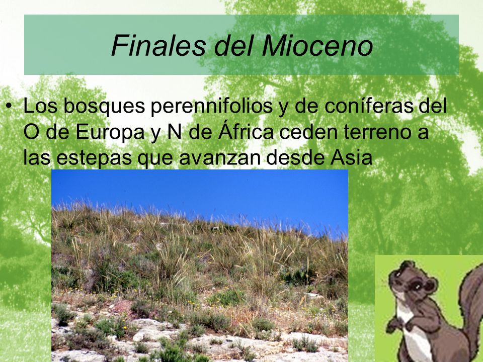Finales del Mioceno Los bosques perennifolios y de coníferas del O de Europa y N de África ceden terreno a las estepas que avanzan desde Asia.