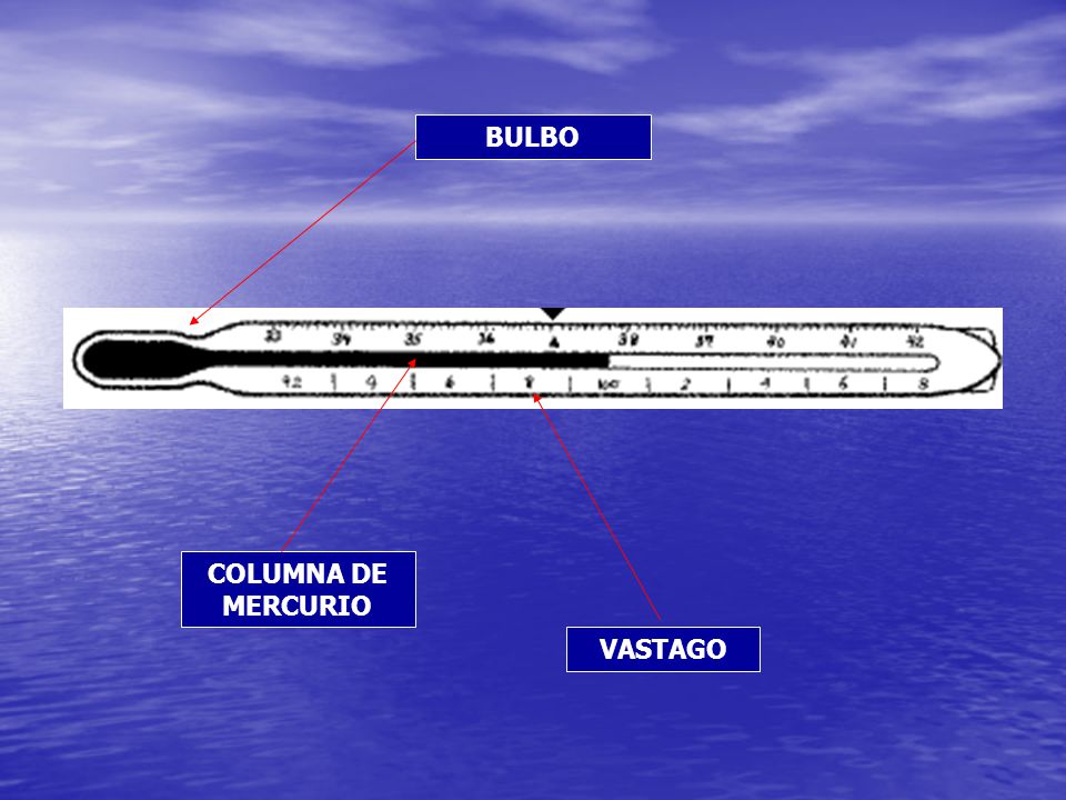 BULBO COLUMNA DE MERCURIO VASTAGO