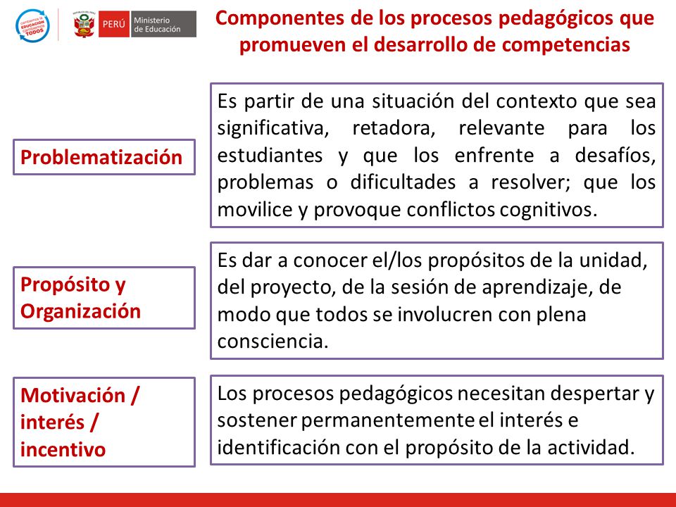 Componentes de los procesos pedagógicos que promueven el desarrollo de competencias