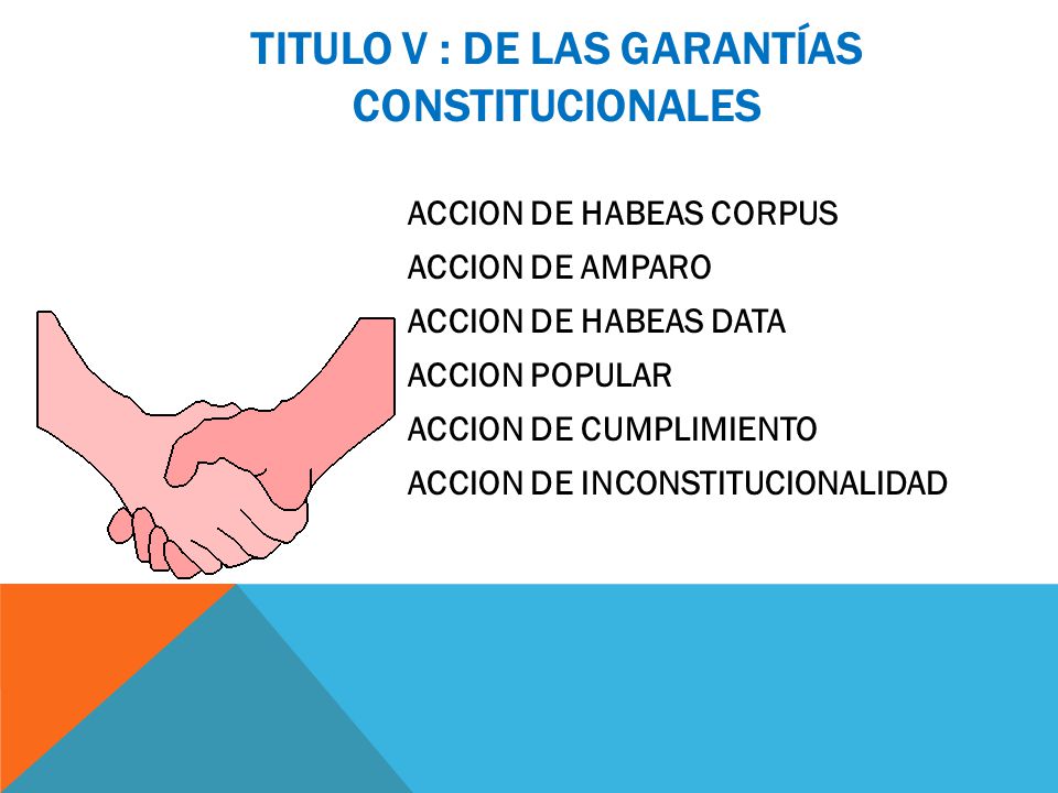 TITULO V : DE LAS GARANTÍAS CONSTITUCIONALES