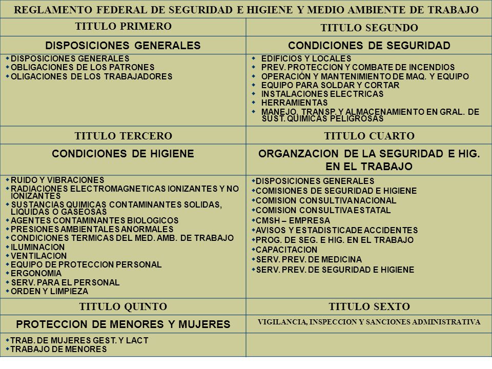 REGLAMENTO FEDERAL DE SEGURIDAD E HIGIENE Y MEDIO AMBIENTE DE TRABAJO