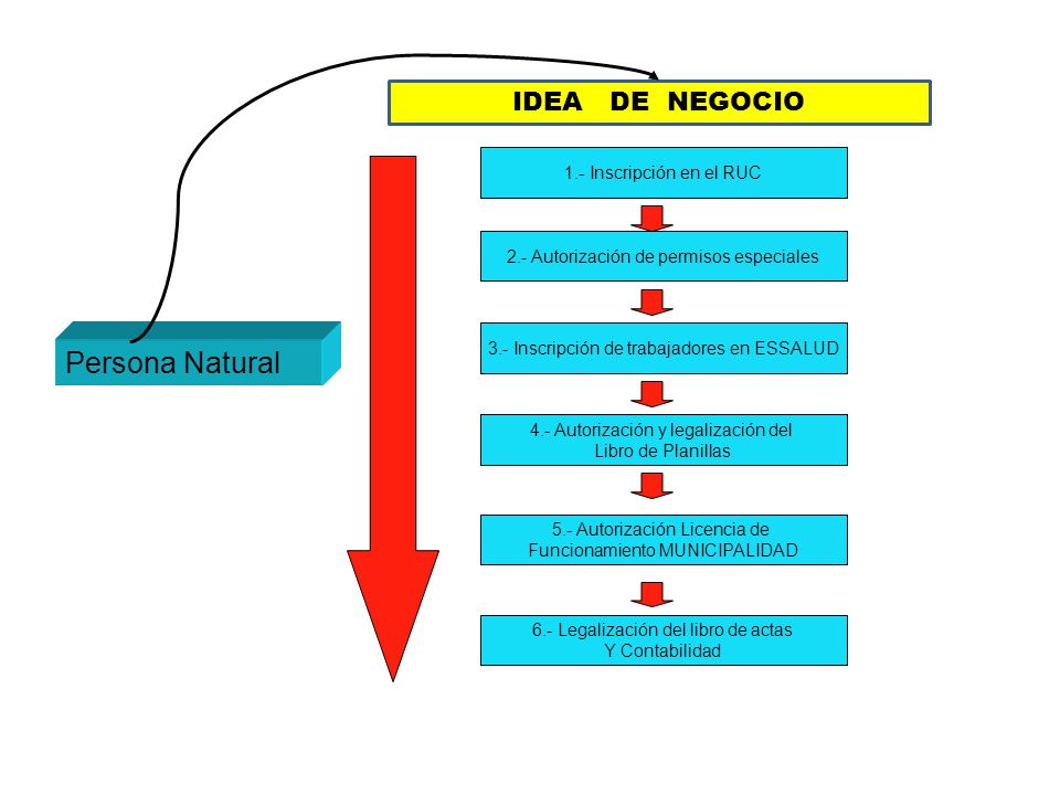 Persona Natural IDEA DE NEGOCIO 1.- Inscripción en el RUC