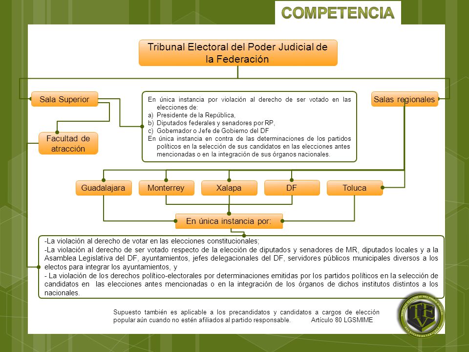 competencia Tribunal Electoral del Poder Judicial de la Federación