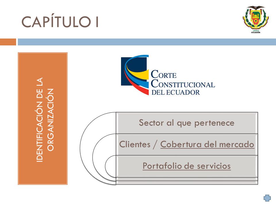 CAPÍTULO I IDENTIFICACIÓN DE LA ORGANIZACIÓN Sector al que pertenece