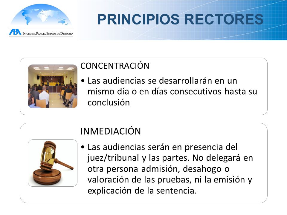 PRINCIPIOS RECTORES INMEDIACIÓN