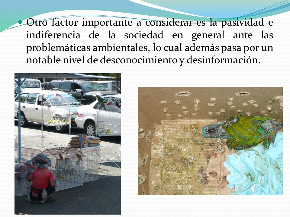 Otro factor importante a considerar es la pasividad e indiferencia de la sociedad en general ante las problemáticas ambientales, lo cual además pasa por un notable nivel de desconocimiento y desinformación.
