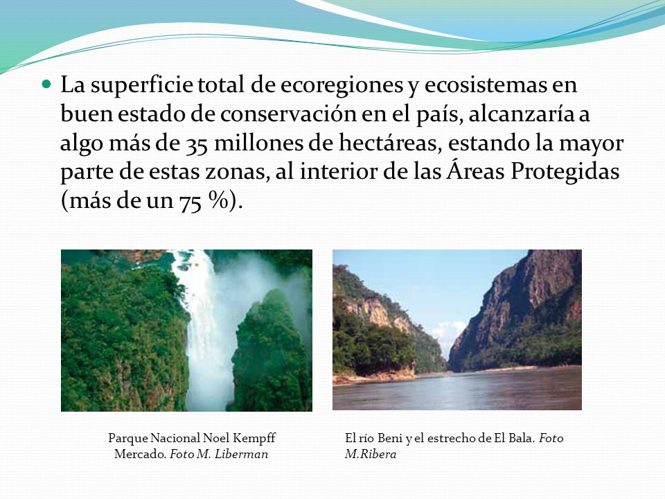 La superficie total de ecoregiones y ecosistemas en buen estado de conservación en el país, alcanzaría a algo más de 35 millones de hectáreas, estando la mayor parte de estas zonas, al interior de las Áreas Protegidas (más de un 75 %).