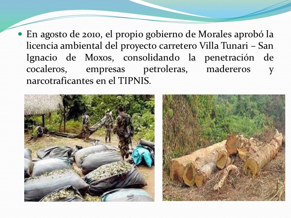 En agosto de 2010, el propio gobierno de Morales aprobó la licencia ambiental del proyecto carretero Villa Tunari – San Ignacio de Moxos, consolidando la penetración de cocaleros, empresas petroleras, madereros y narcotraficantes en el TIPNIS.