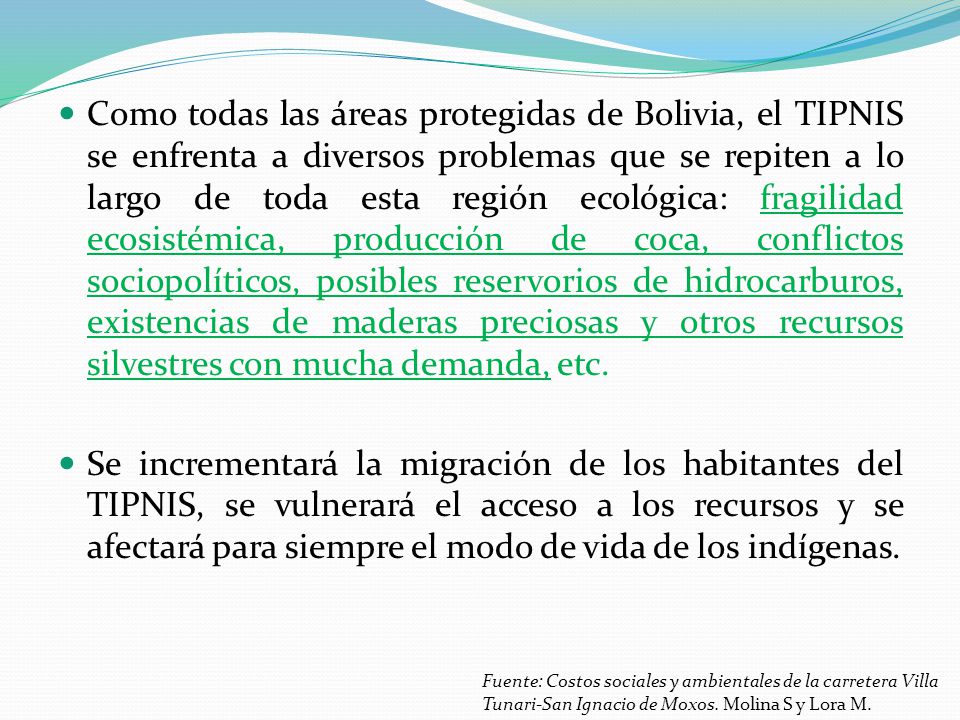Como todas las áreas protegidas de Bolivia, el TIPNIS se enfrenta a diversos problemas que se repiten a lo largo de toda esta región ecológica: fragilidad ecosistémica, producción de coca, conflictos sociopolíticos, posibles reservorios de hidrocarburos, existencias de maderas preciosas y otros recursos silvestres con mucha demanda, etc.