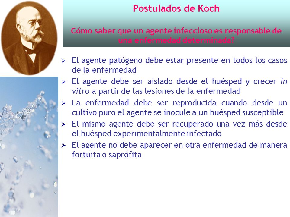 Postulados de Koch Cómo saber que un agente infeccioso es responsable de una enfermedad determinada