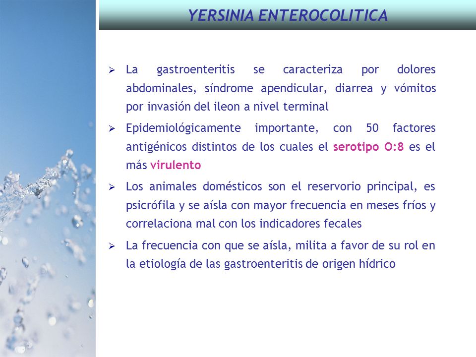 YERSINIA ENTEROCOLITICA