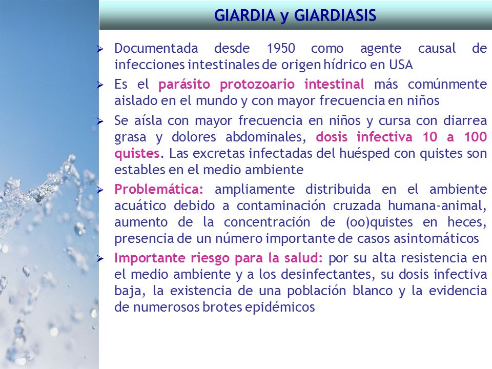 GIARDIA y GIARDIASIS Documentada desde 1950 como agente causal de infecciones intestinales de origen hídrico en USA.