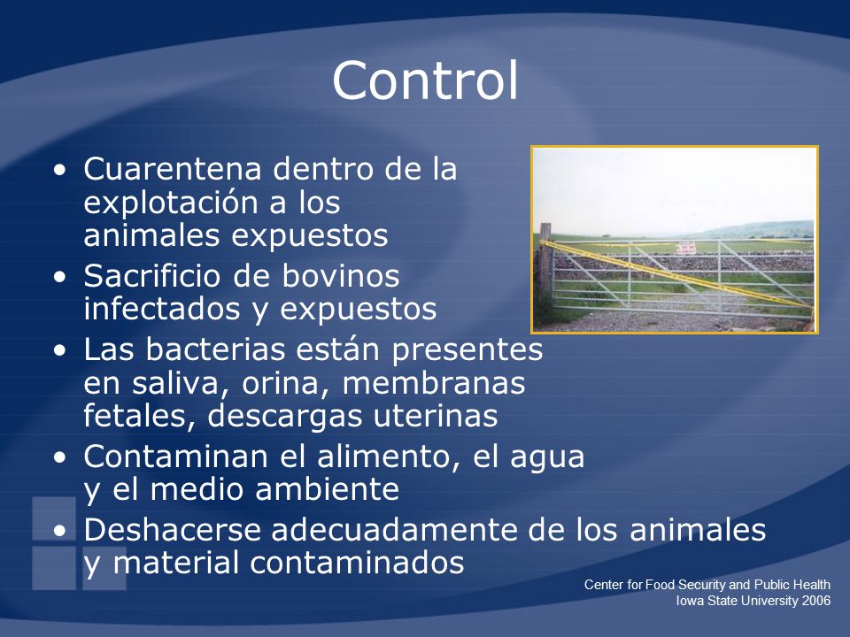 Control Cuarentena dentro de la explotación a los animales expuestos