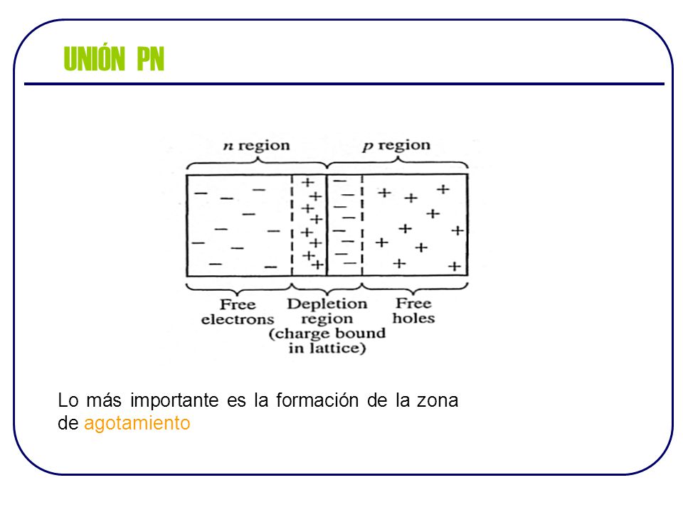 UNIÓN PN Lo más importante es la formación de la zona de agotamiento