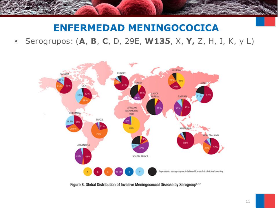 ENFERMEDAD MENINGOCOCICA