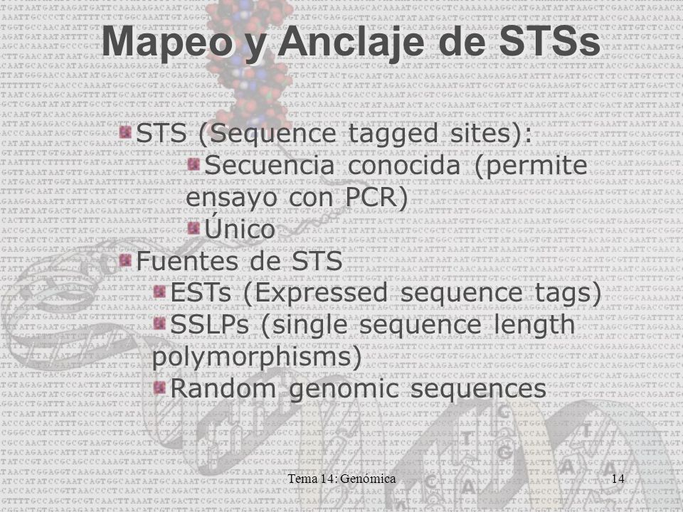 Mapeo y Anclaje de STSs STS (Sequence tagged sites):