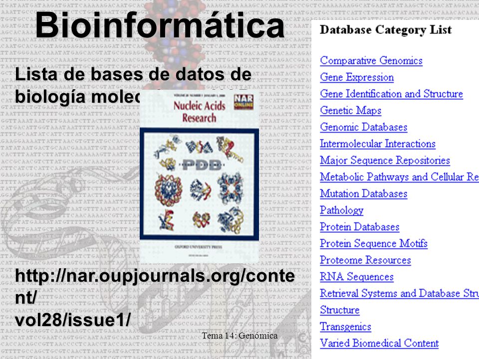 Bioinformática Lista de bases de datos de biología molecular en NAR