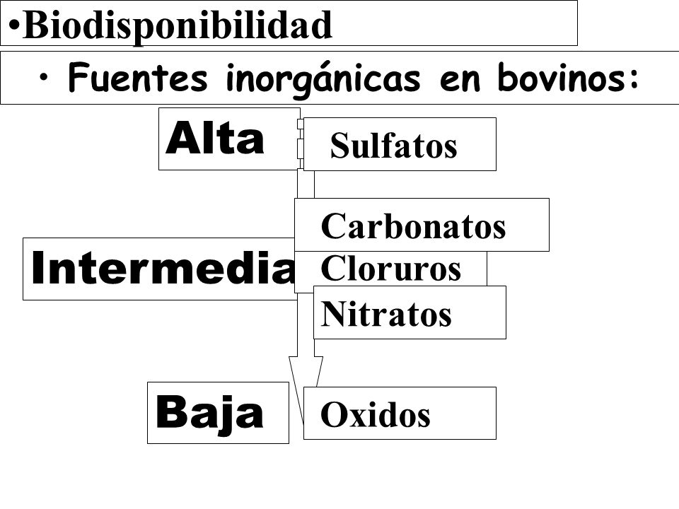 Fuentes inorgánicas en bovinos: