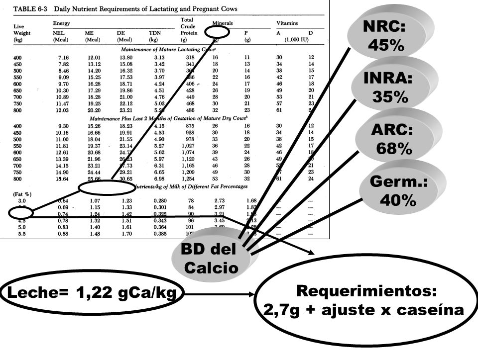NRC: 45% INRA: 35% ARC: 68% Germ.: 40% BD del. Calcio. Requerimientos: 2,7g + ajuste x caseína.