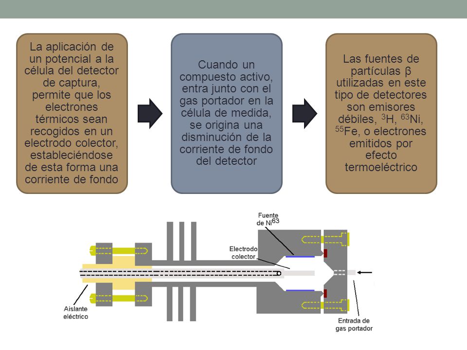 La aplicación de un potencial a la célula del detector de captura, permite que los electrones térmicos sean recogidos en un electrodo colector, estableciéndose de esta forma una corriente de fondo