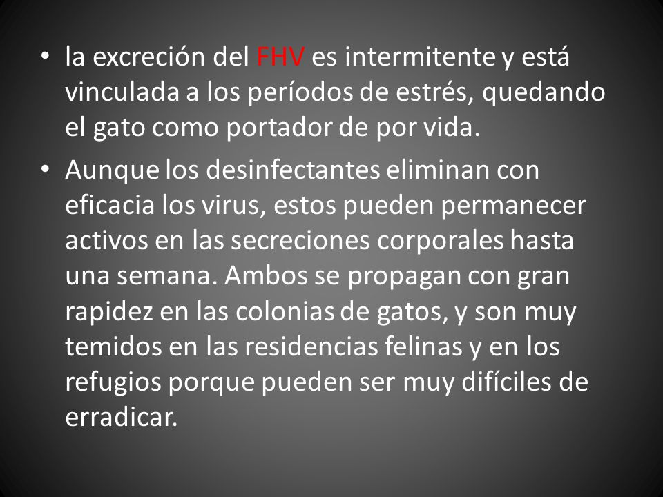 la excreción del FHV es intermitente y está vinculada a los períodos de estrés, quedando el gato como portador de por vida.