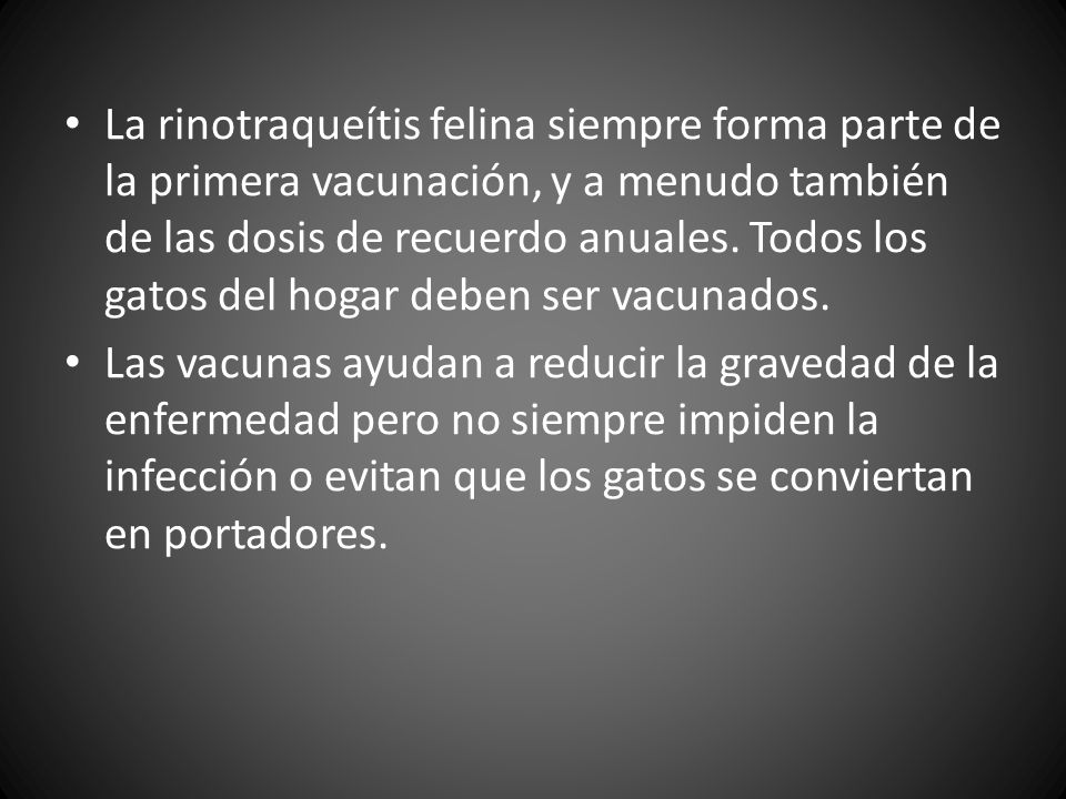 La rinotraqueítis felina siempre forma parte de la primera vacunación, y a menudo también de las dosis de recuerdo anuales. Todos los gatos del hogar deben ser vacunados.
