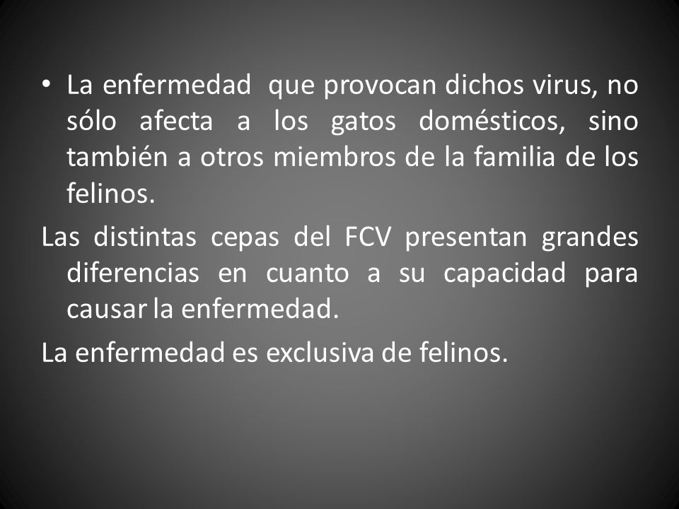 La enfermedad que provocan dichos virus, no sólo afecta a los gatos domésticos, sino también a otros miembros de la familia de los felinos.