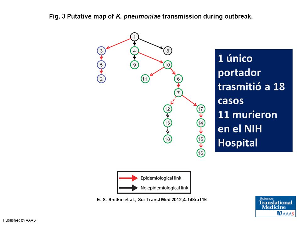 Fig. 3 Putative map of K. pneumoniae transmission during outbreak.