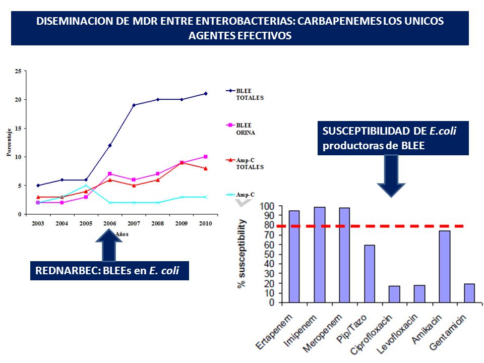 DISEMINACION DE MDR ENTRE ENTEROBACTERIAS: CARBAPENEMES LOS UNICOS AGENTES EFECTIVOS