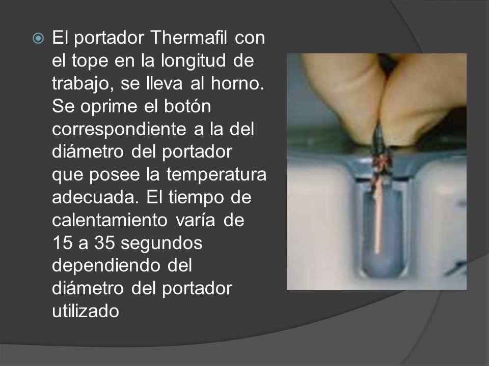 El portador Thermafil con el tope en la longitud de trabajo, se lleva al horno.